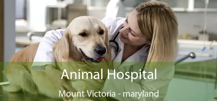 Animal Hospital Mount Victoria - maryland