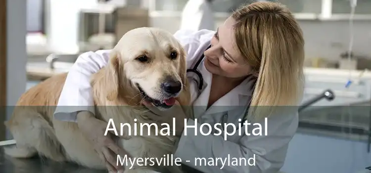 Animal Hospital Myersville - maryland