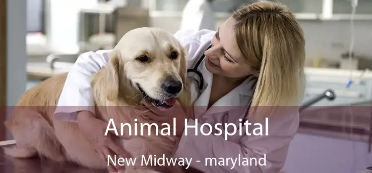 Animal Hospital New Midway - maryland