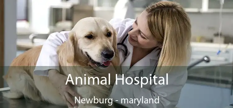 Animal Hospital Newburg - maryland