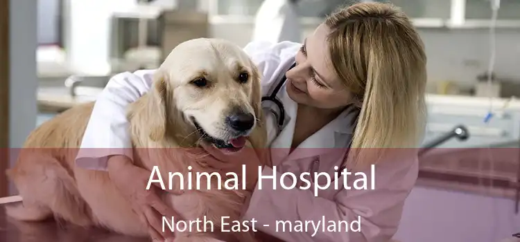 Animal Hospital North East - maryland