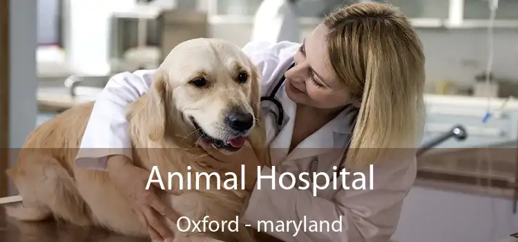 Animal Hospital Oxford - maryland