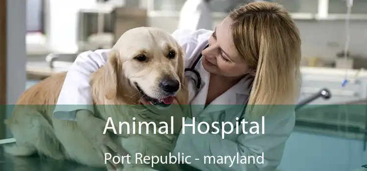 Animal Hospital Port Republic - maryland