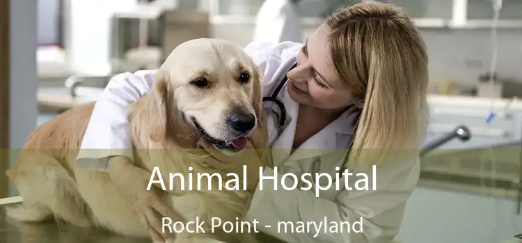 Animal Hospital Rock Point - maryland