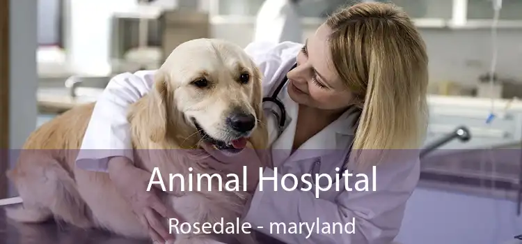 Animal Hospital Rosedale - maryland