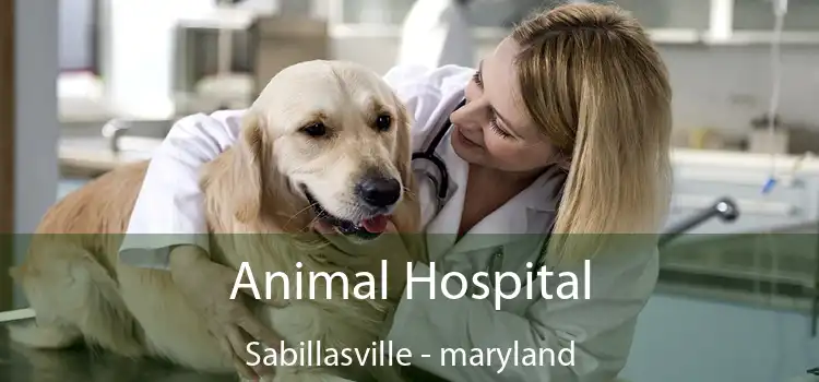 Animal Hospital Sabillasville - maryland