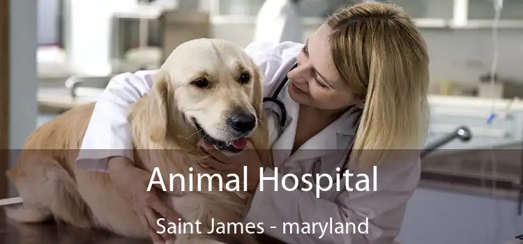 Animal Hospital Saint James - maryland