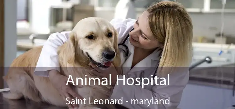 Animal Hospital Saint Leonard - maryland