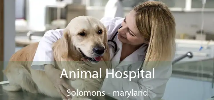 Animal Hospital Solomons - maryland