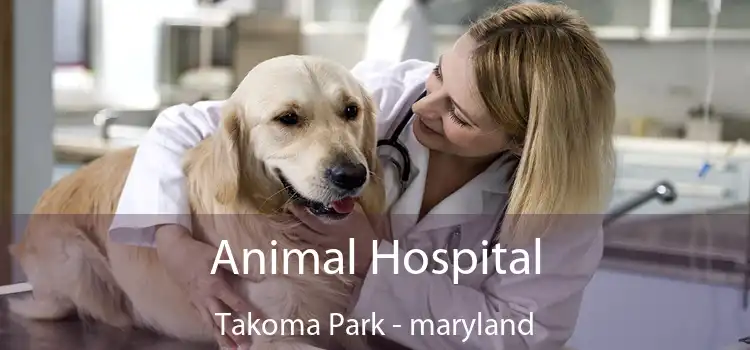 Animal Hospital Takoma Park - maryland