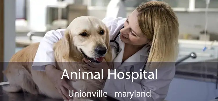 Animal Hospital Unionville - maryland