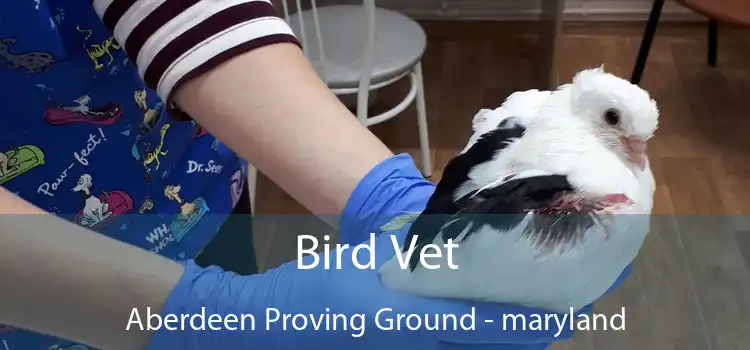 Bird Vet Aberdeen Proving Ground - maryland