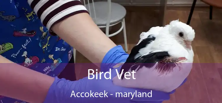 Bird Vet Accokeek - maryland