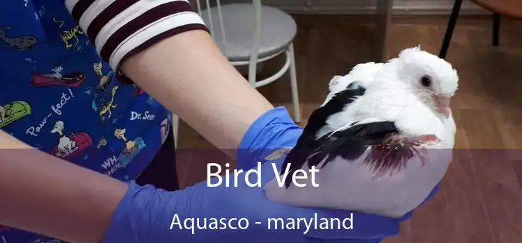 Bird Vet Aquasco - maryland