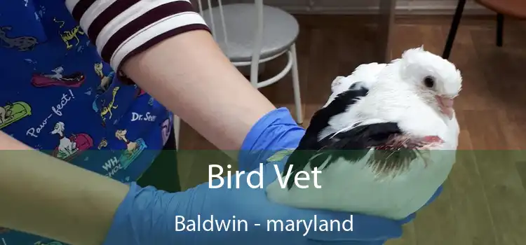 Bird Vet Baldwin - maryland