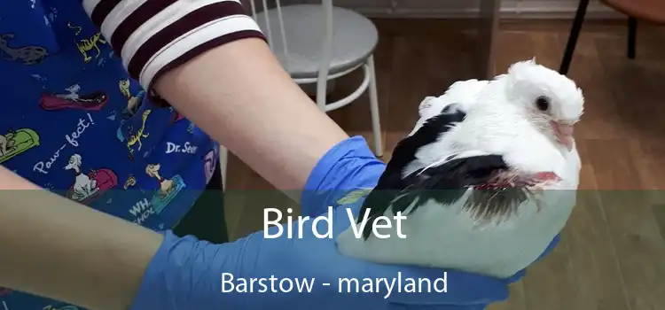 Bird Vet Barstow - maryland