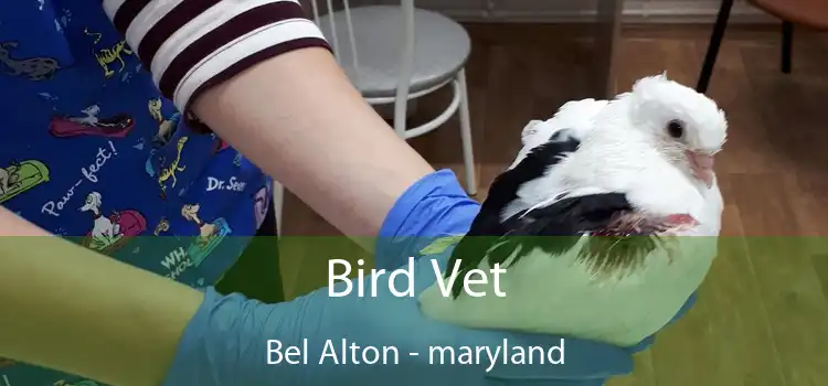 Bird Vet Bel Alton - maryland