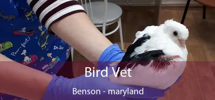 Bird Vet Benson - maryland