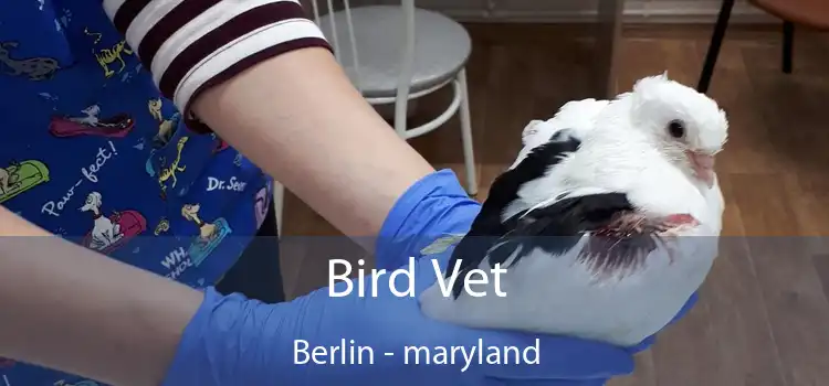 Bird Vet Berlin - maryland