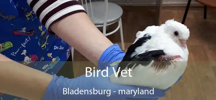 Bird Vet Bladensburg - maryland