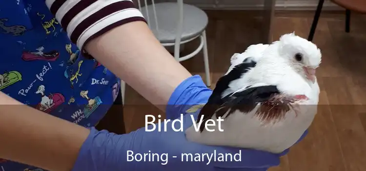 Bird Vet Boring - maryland