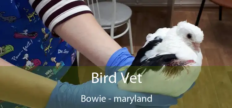 Bird Vet Bowie - maryland