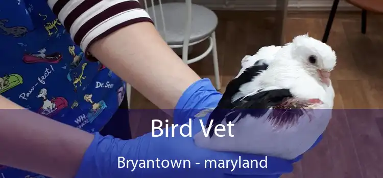 Bird Vet Bryantown - maryland