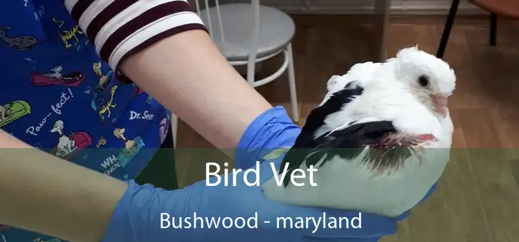 Bird Vet Bushwood - maryland