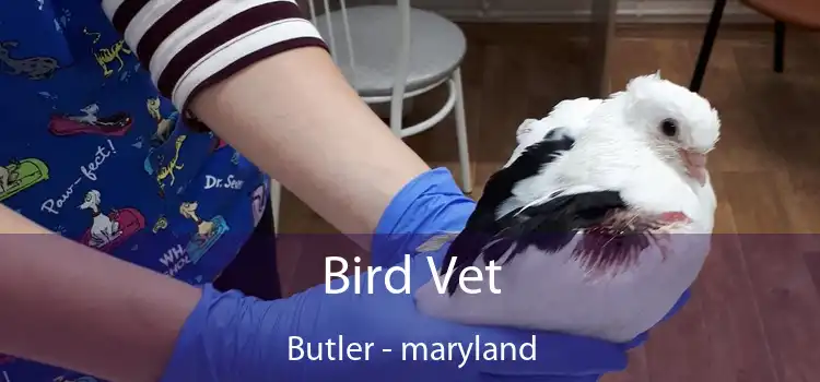 Bird Vet Butler - maryland