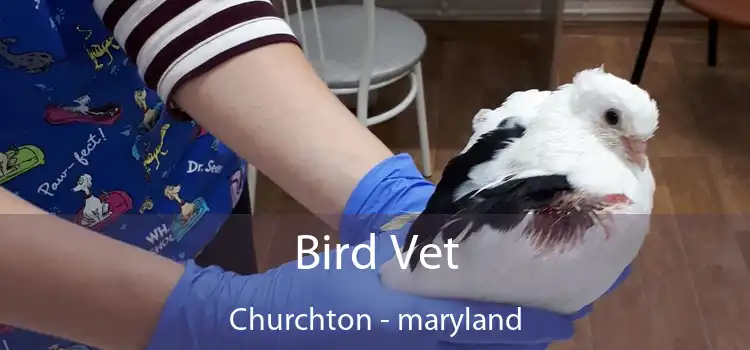 Bird Vet Churchton - maryland