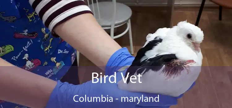 Bird Vet Columbia - maryland