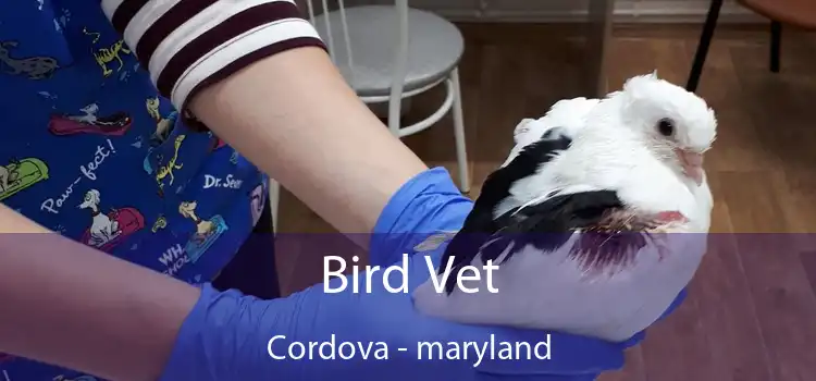 Bird Vet Cordova - maryland