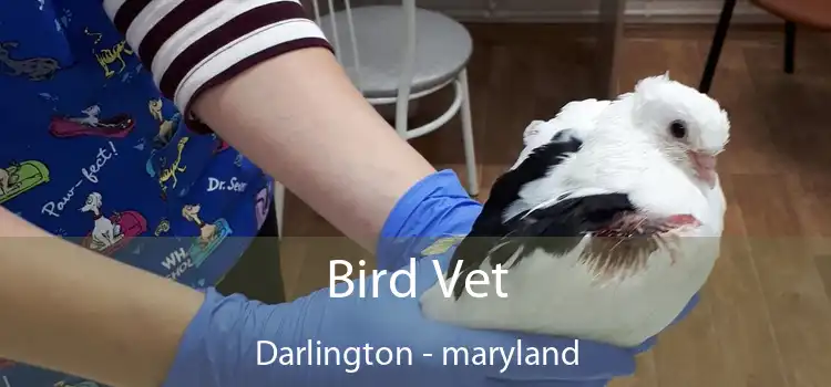 Bird Vet Darlington - maryland