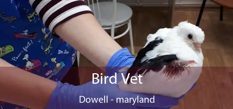 Bird Vet Dowell - maryland