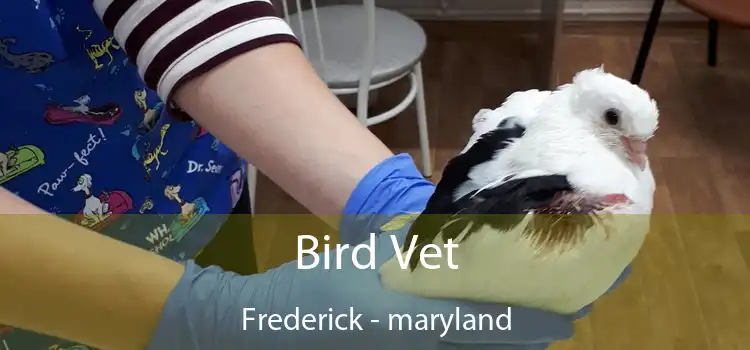 Bird Vet Frederick - maryland