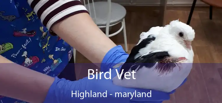 Bird Vet Highland - maryland