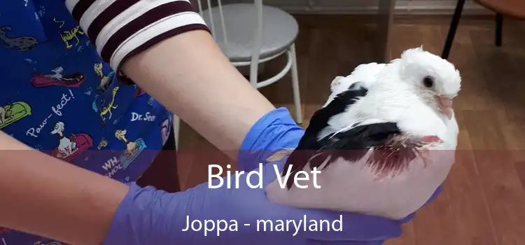 Bird Vet Joppa - maryland