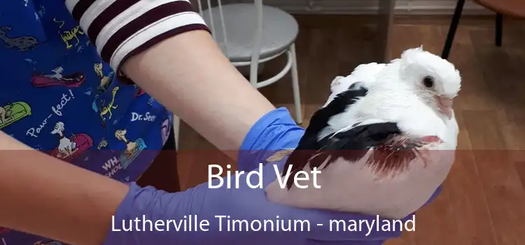 Bird Vet Lutherville Timonium - maryland