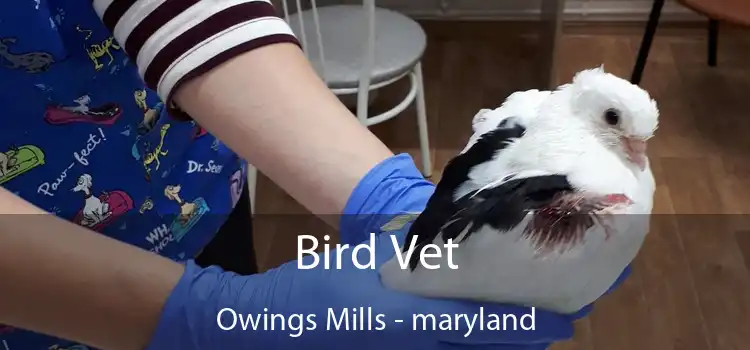 Bird Vet Owings Mills - maryland