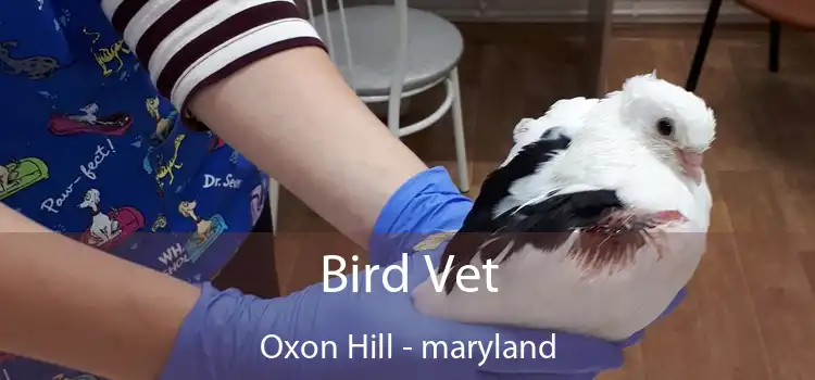 Bird Vet Oxon Hill - maryland