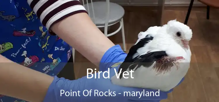 Bird Vet Point Of Rocks - maryland