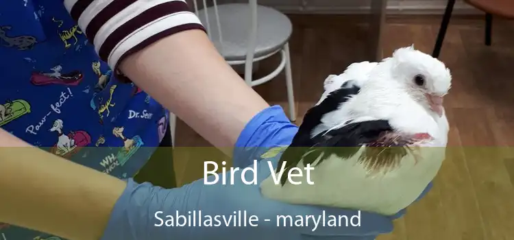 Bird Vet Sabillasville - maryland