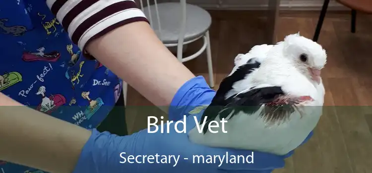 Bird Vet Secretary - maryland