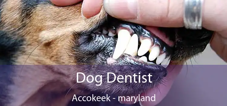 Dog Dentist Accokeek - maryland