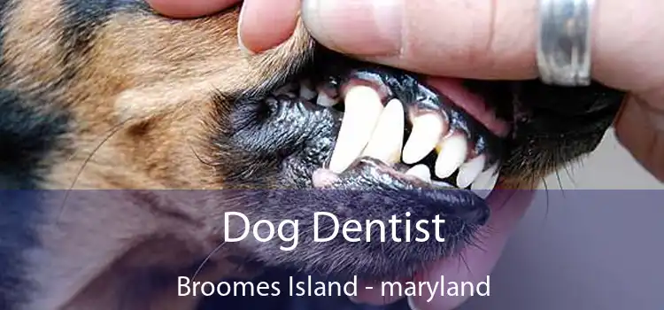 Dog Dentist Broomes Island - maryland