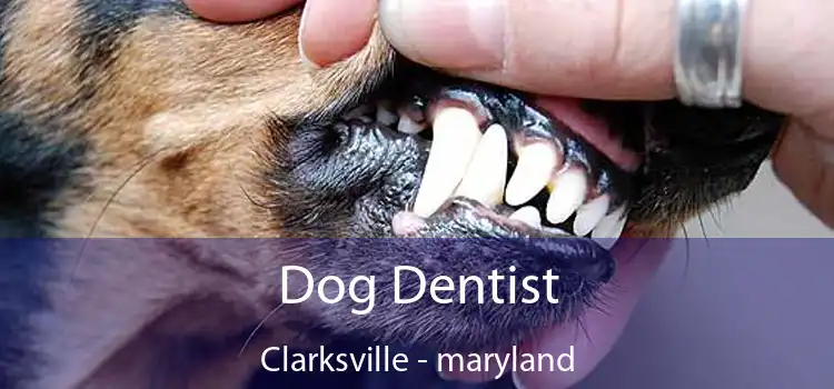 Dog Dentist Clarksville - maryland