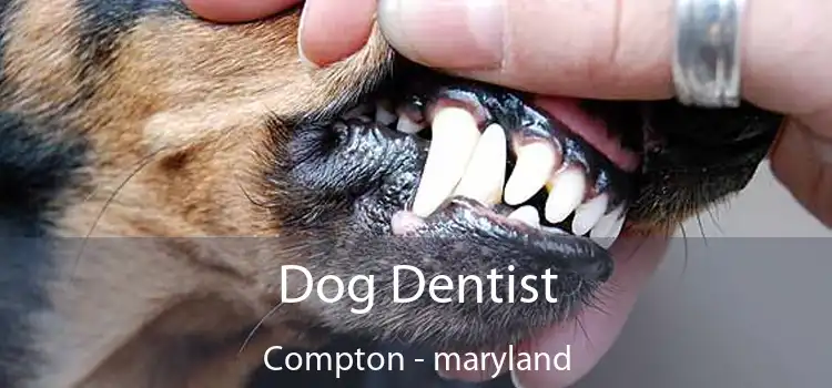 Dog Dentist Compton - maryland