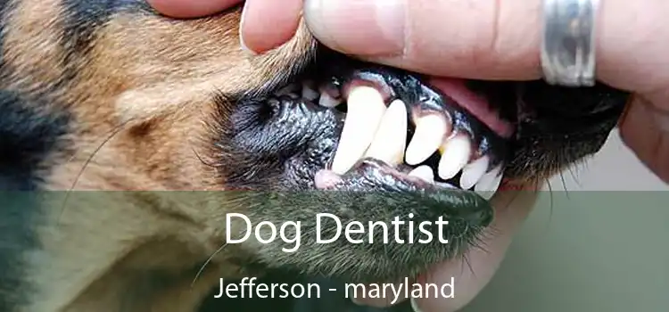 Dog Dentist Jefferson - maryland