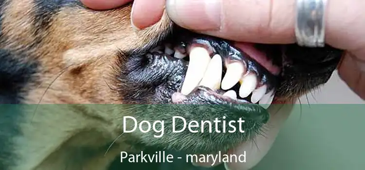 Dog Dentist Parkville - maryland