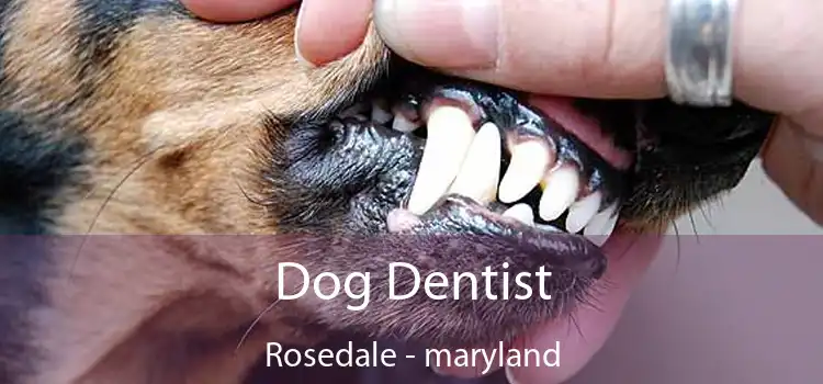 Dog Dentist Rosedale - maryland